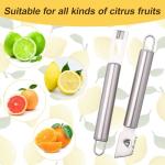 Wloedor 2-Piece Stainless Steel Lemon Zester Set