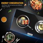 Portable Propane Stove for Indoor and Outdoor Cooking