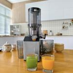 WHUTO Stainless Steel Cold Press Juicer Machine