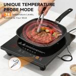 AMZCHEF Portable Induction Cooktop with Digital Probe