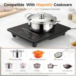 AMZCHEF Portable Induction Cooktop with Digital Probe