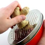 Citrus Zester and Cheese Grater with Storage Container