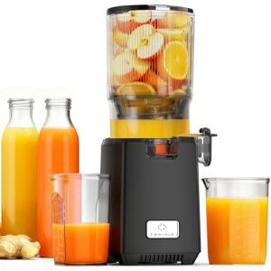 LINKChef 250W Cold Press Juicer for Whole Fruits