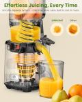 LINKChef 250W Cold Press Juicer for Whole Fruits