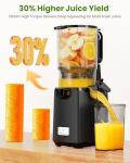 LINKChef 250W Cold Press Juicer for Whole Fruits