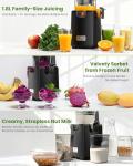 LINKChef 250W Cold Press Juicer for Whole Fruits