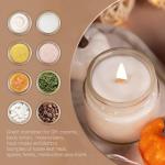 Glass Jars with Wooden Lids for Travel 3-Pack