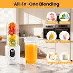 WISHBAY Portable Blender for Smoothies and Shakes