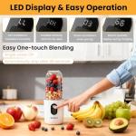 WISHBAY Portable Blender for Smoothies and Shakes