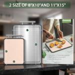 Double-Sided Stainless Steel Cutting Boards, 2-Pack