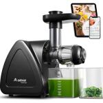 Aobosi Slow Masticating Juicer with Reverse Function