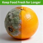 Clear Plastic Food Storage Bags on a Roll, 500 Count