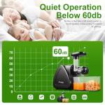 Aobosi Slow Masticating Juicer with Reverse Function