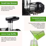 Aobosi Slow Masticating Juicer with Reverse Function