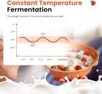 Automatic Electric Yogurt Maker with Large Capacity