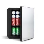 Mini Fridge with Mirror Door and Temperature Control
