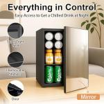 Mini Fridge with Mirror Door and Temperature Control