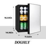 Mini Fridge with Mirror Door and Temperature Control