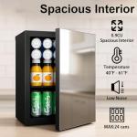 Mini Fridge with Mirror Door and Temperature Control