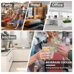 Mini Fridge with Mirror Door and Temperature Control