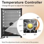 Mini Fridge with Mirror Door and Temperature Control