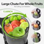 Whole Fruit Cold Press Juicer with Easy Cleanup