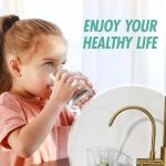 Brushed Gold 3-in-1 Kitchen Faucet with Sprayer