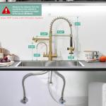 Brushed Gold 3-in-1 Kitchen Faucet with Sprayer