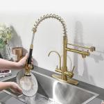 Brushed Gold 3-in-1 Kitchen Faucet with Sprayer