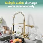 Brushed Gold 3-in-1 Kitchen Faucet with Sprayer