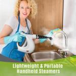 Handheld Multi-Surface Steam Cleaner with Accessories