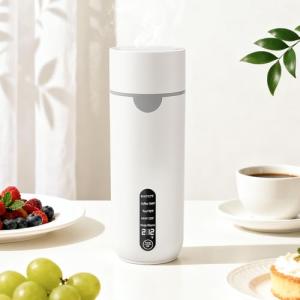 Portable Travel Electric Kettle with Temperature Control