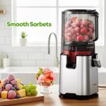 ECOSELF Slow Juicer with 3 Filters for Juice