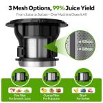 ECOSELF Slow Juicer with 3 Filters for Juice