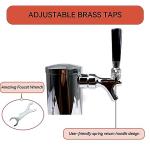 BACOENG Tower Kegerator Beer Conversion Kit