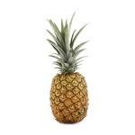 Gold Pineapple Kitchen Appliance for Fun Cooking
