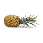 Gold Pineapple Kitchen Appliance for Fun Cooking