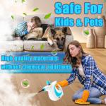 Handheld Pressurized Steam Cleaner for Home Use