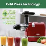 Omega H3000RED Cold Press Slow Juicer