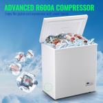 Demuller 5.0 Cu.ft Chest Freezer with Electronic Panel