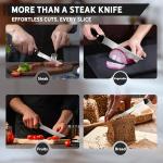 8-Piece Stainless Steel Serrated Steak Knife Set