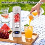 Aetherika Portable USB Personal Blender - 600ML
