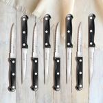 8-Piece Stainless Steel Serrated Steak Knife Set