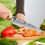 9PCS Japanese Chef Knife Set with Roll Bag