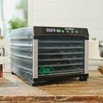 LEM 5 Tray Food Dehydrator in Black