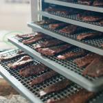 LEM 5 Tray Food Dehydrator in Black