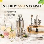 15-Piece Mixology Bartender Kit with Stand