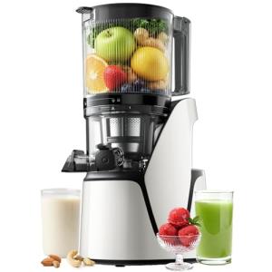 EanOruus 3-in-1 Cold Press Juicer Machine