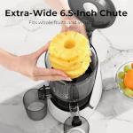 EanOruus 3-in-1 Cold Press Juicer Machine