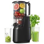 Cold Press Juicer with Wide Feed Chute